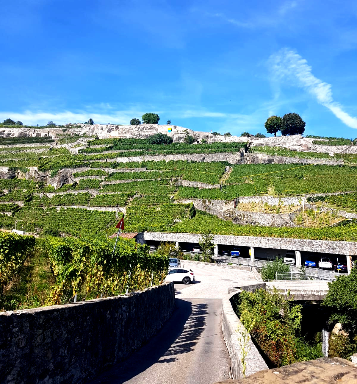 Lavaux Vineyard Switzerland