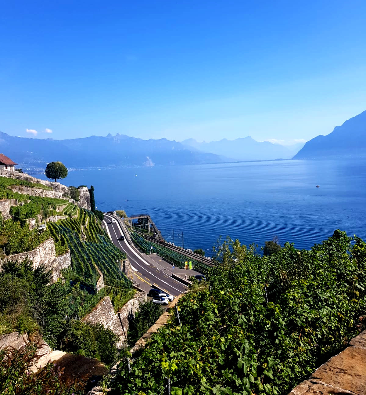 Lake Geneva at Lavaux