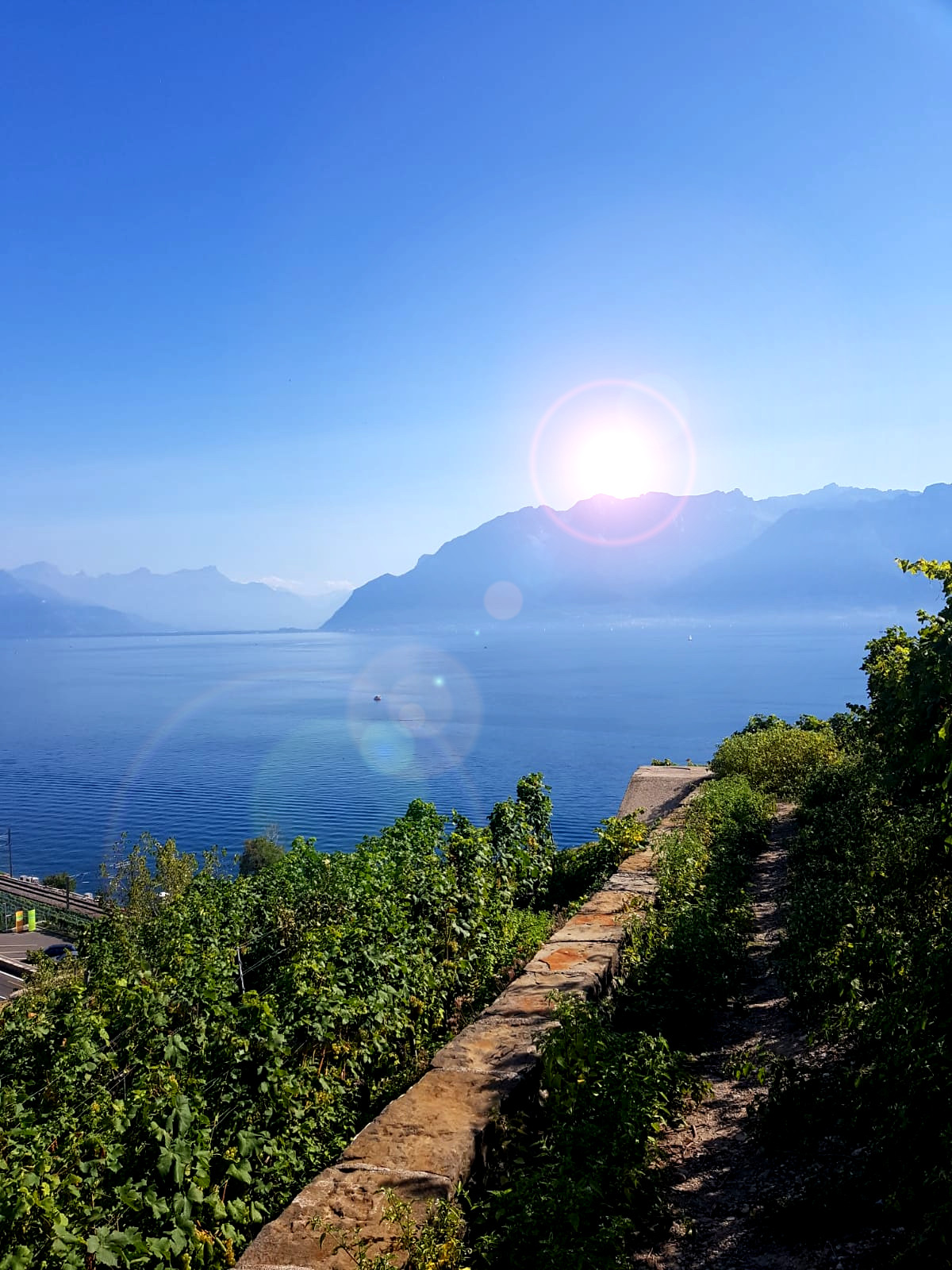 Lake Geneva at Lavaux