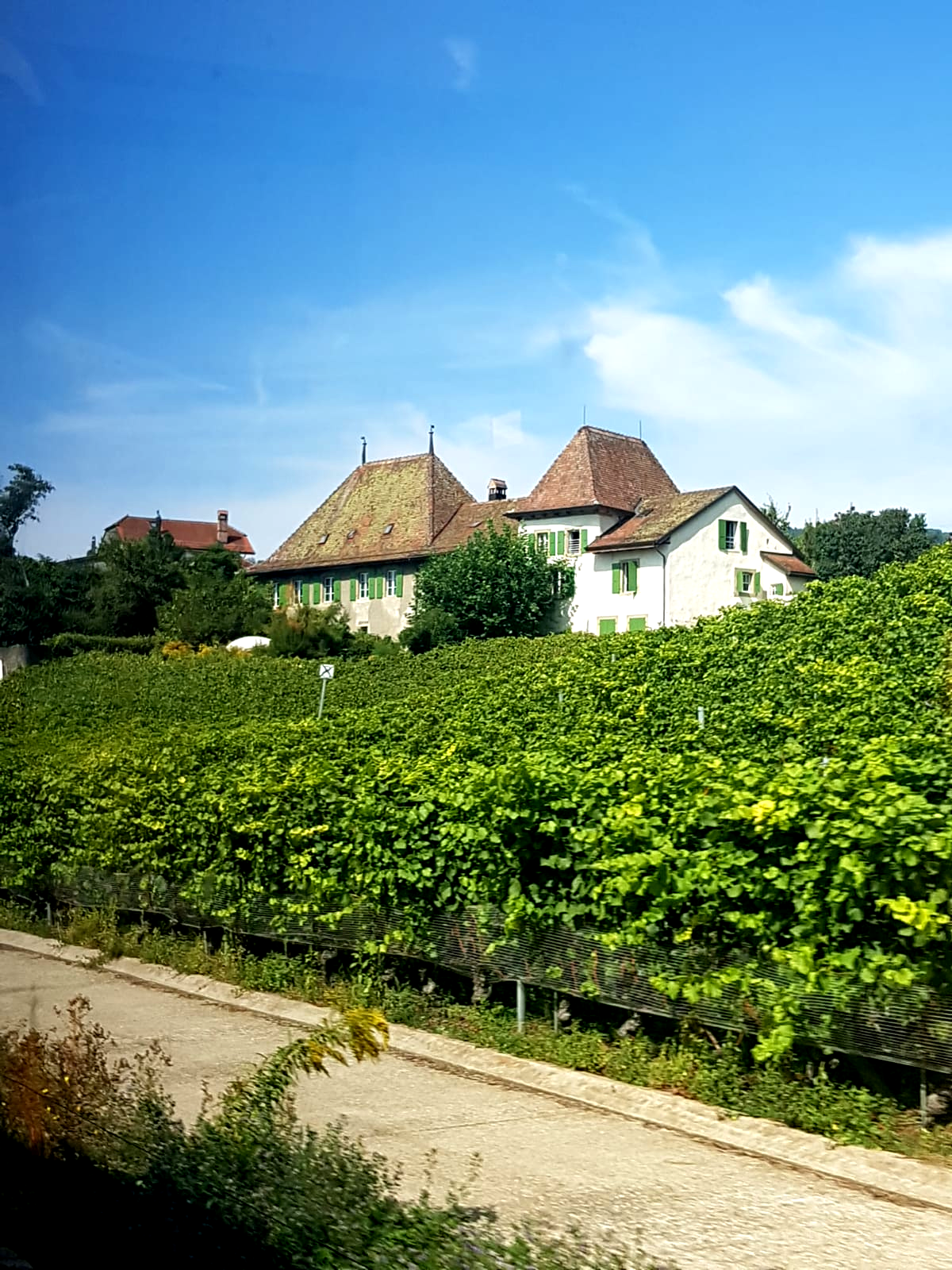 Cottage in Lavaux Vineyards