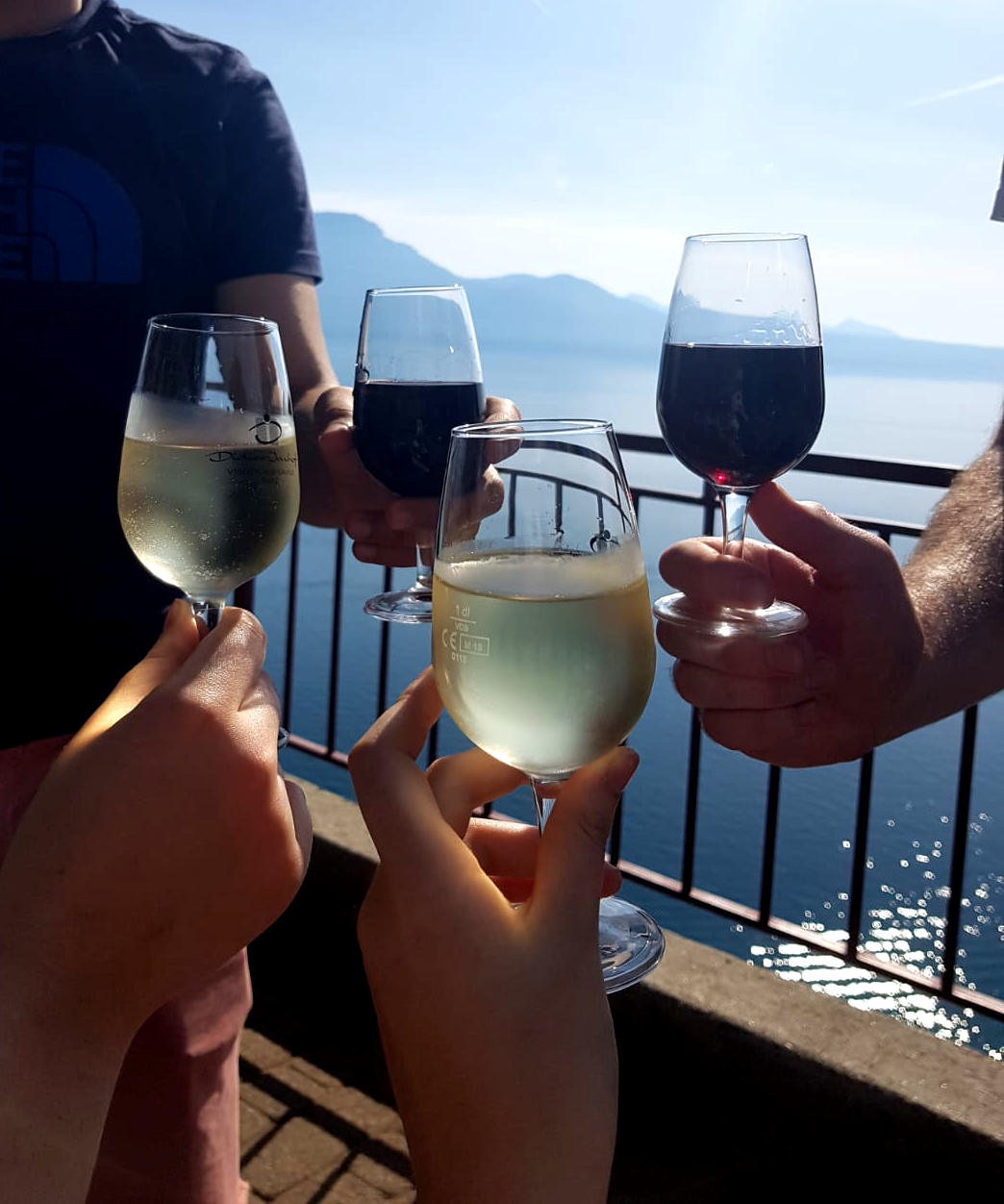 wine lavaux